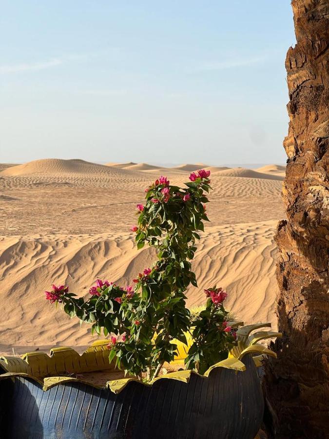 Majorelle Desert Camp Zagora Dış mekan fotoğraf