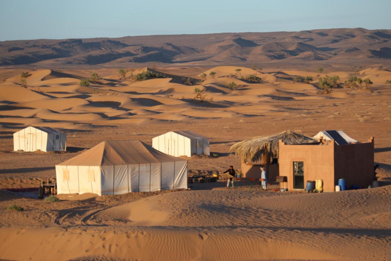 Majorelle Desert Camp Zagora Dış mekan fotoğraf