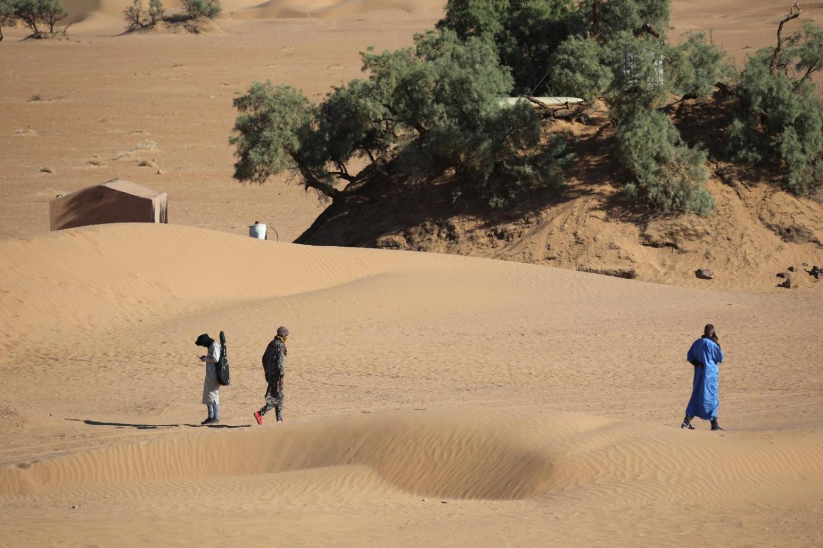 Majorelle Desert Camp Zagora Dış mekan fotoğraf